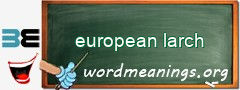 WordMeaning blackboard for european larch